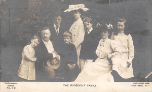 The Roosevelt Family View Postcard Backing 