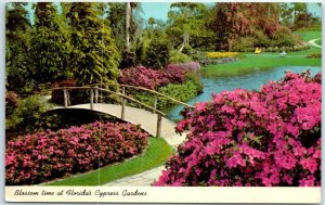 Postcard - Blossom Time at Florida's Cypress Gardens