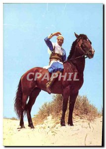 Postcard Modern Tunisia A Cavalier