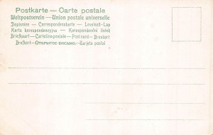 Animals Humanized Cats Kittens Dancing in Circle vintage postcard  B925