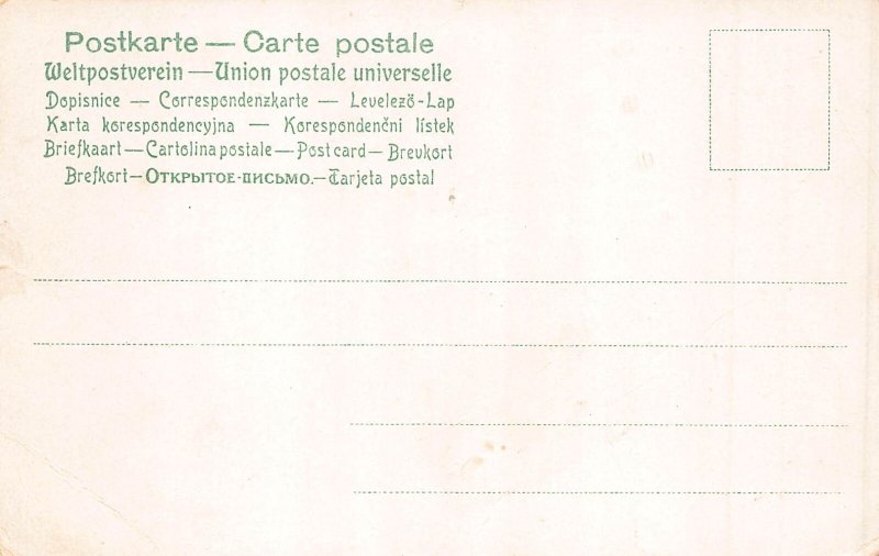 Animals Humanized Cats Kittens Dancing in Circle vintage postcard  B925