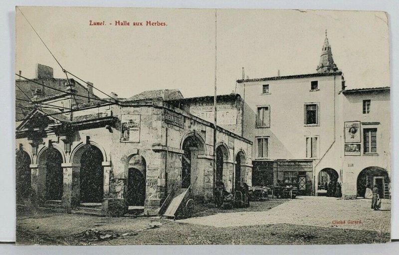 Lunel Halle aux Herbes Lunel Market with Herbs France c1908 Postcard L12