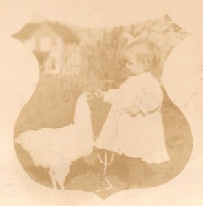 RPPC  Young Girl Feeding A Chicken  Sepia Toned  - Real Photo Postcard  c1910