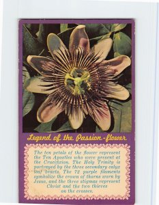 Postcard Legend of the Passion-flower, Florida