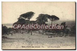 Postcard Old Lecques Var Les Pins Parasols