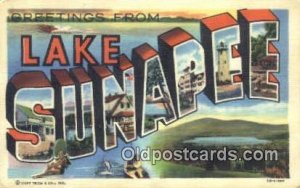 Lake Sunapee, NH, USA Large Letter Town Unused 