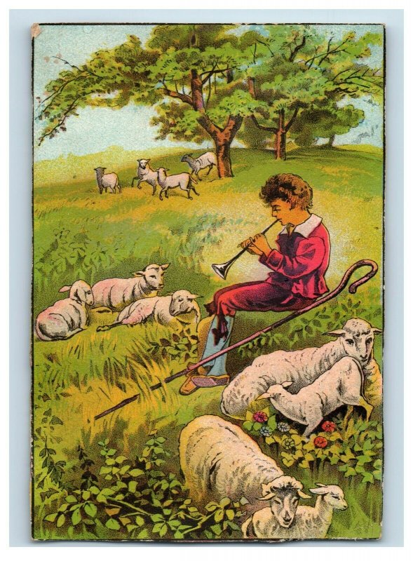 1870s-80s Victorian Card Sheep & Sheepherder Musical Instrument P207