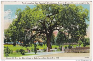 ST. MARTINVILLE, Louisiana, PU-1948; The Evangeline Oak