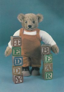 Margaret Steiff 1904 Teddy Bear With Counting Blocks Abacus Postcard