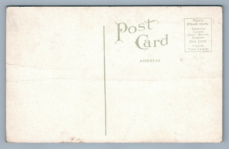 BISMARCK ND STATE PENITENTIARY ANTIQUE POSTCARD