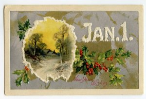 Postcard Jan. 1 New Year Wishes Embossed Standard View Card