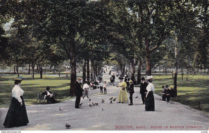 BOSTON, Massachusetts, PU-1909; Scene in Boston Common