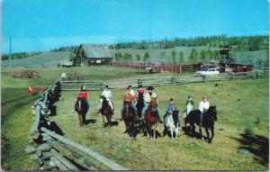 Springhouse Trails Ranch Westwick Lake BC Stables Williams Lake Postcard D65