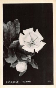 HAWAII~CUP O GOLD FLOWER-1940s REAL PHOTO POSTCARD