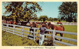 Kentucky's world-famous thoroughbreds Bluegrass horse farm in Kentucky Lexing...