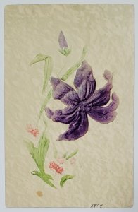 Greeting Flocked Purple Flowers 1909 to Culberston Nebraska Postcard W6