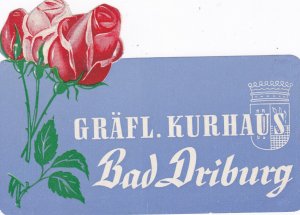 Germany Bad Driburg Graefliches Kurhaus Vintage Luggage Label sk2018