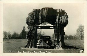 Postcard 1940s Washington Arlington Giant Cedar Stump auto Pacific WA24-4494