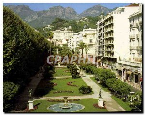 Modern Postcard The French Riviera Menton Alpes Maritimes