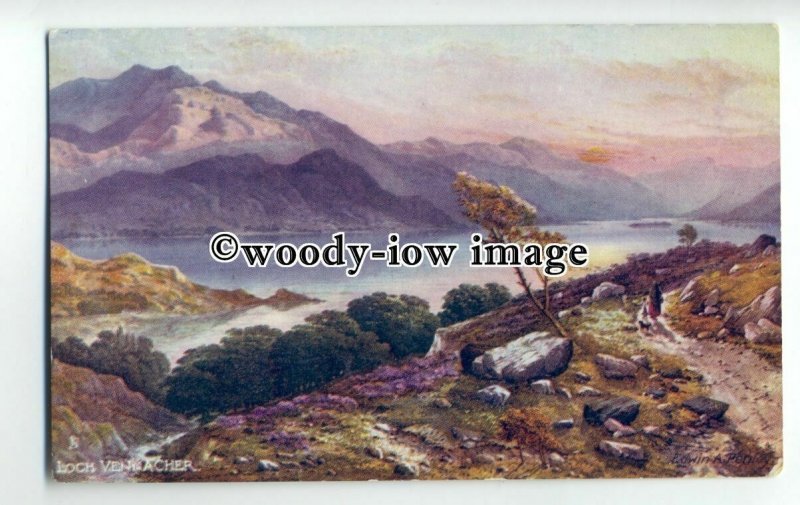 ar0399 - Heath at Loch Vennacher - Artist - Edwin.A.Penley -  Postcard - Tuck's