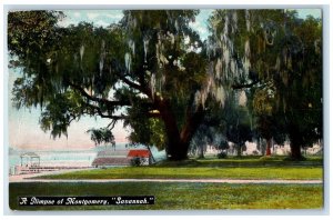 1909 A Glimpse Of Montgomery Nature Scene Savannah Georgia GA Antique Postcard 