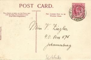 south africa, PORT ELIZABETH, Havelock Street looking Up (1904) Stamp 