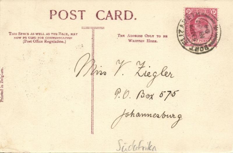 south africa, PORT ELIZABETH, Havelock Street looking Up (1904) Stamp 