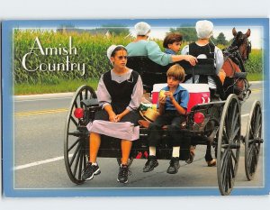 Postcard Amish People on a Horse Carriage Amish Country