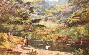 FIJI Islands early/vintage Tuck's Art Oilette postcard A Forest Scene