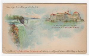 Greetings From Niagara Falls Home of Shredded Wheat 1900c PMC postcard