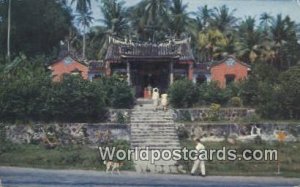 Snake Temple Penang Malaysia Unused 