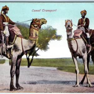 c1900s India Camel Transport Desert Riders Turbans Traditional Dress A360