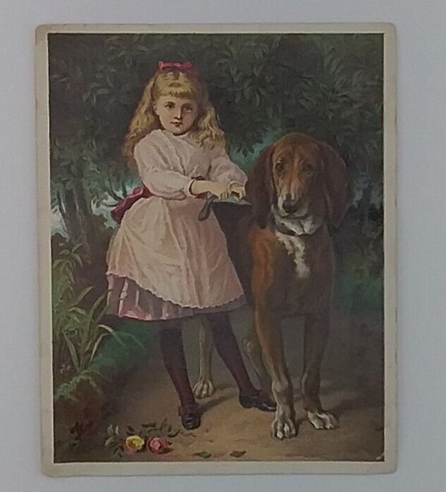 Victorian Trade Card Dr Jaynes Expectorant Coughs, Colds and Consumption