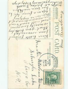 Divided-Back BEAUTIFUL FLOWERS SCENE Great Postcard AA2305