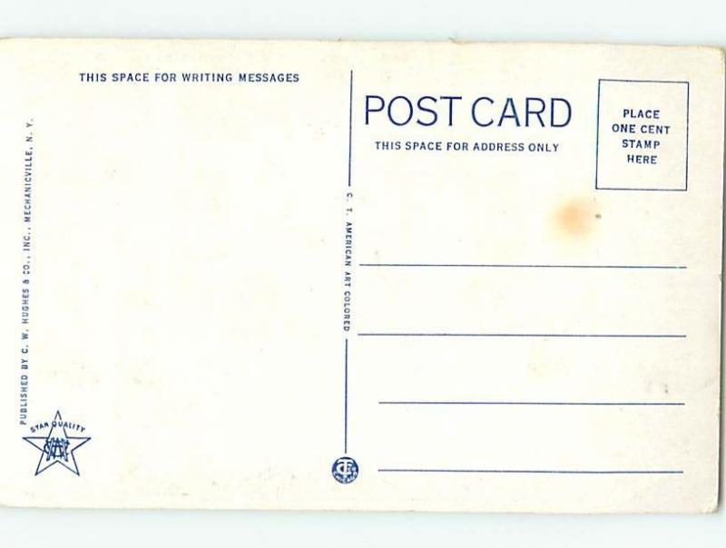 Unused W-Border STREET SCENE Adirondacks - Saranac Lake New York NY W1571