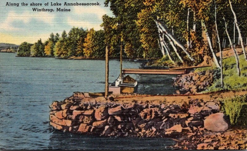 Maine Winthrop Lake Maranacook Scene Along The Shore