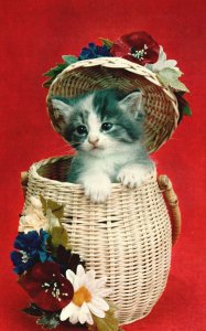 Vintage Postcard Cute Little Cat Sweet Kitten in Laundry Flowers Basket Artwork