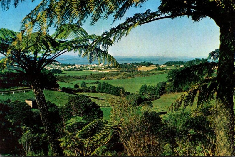 New Zealand Auckland View From Waitakere Scenic Drive