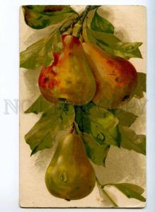 245238 PEAR on Tree FRUITS by C. KLEIN vintage GOM #3238 PC