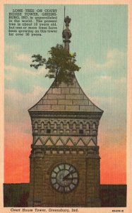 Vintage Postcard Lone Tree Unparalleled On Court House Tower Greensburg Indiana