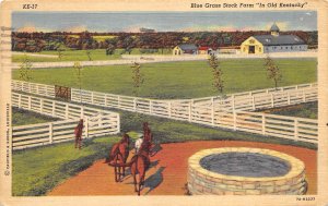 Louisville Kentucky 1949 Postcard Blue Grass Stock Horse Farm