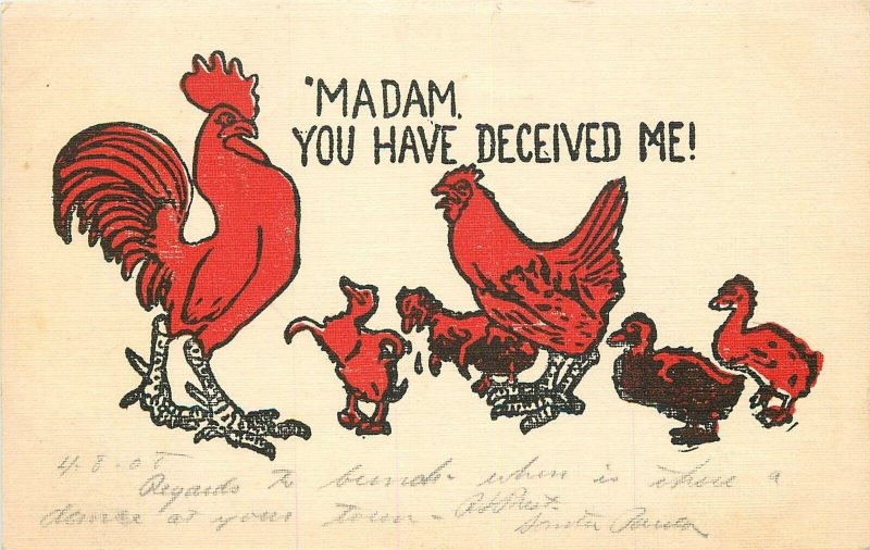 Postcard C1910 Rooster Chicken Duck children deceived arts Crafts comic 22-13665