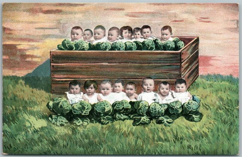 MULTIPLE BABIES in the CABBAGE FIELD ANTIQUE POSTCARD 