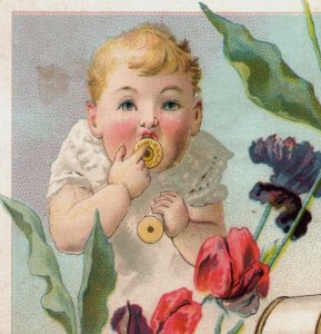 1880s J & P Coats Best Six Cord Thread Adorable Baby Set Of 5 P178