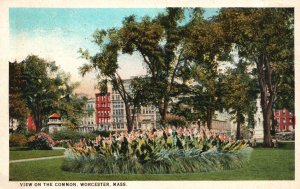 Vintage Postcard 1925 View on the Common Worcester Massachusetts Nature MA