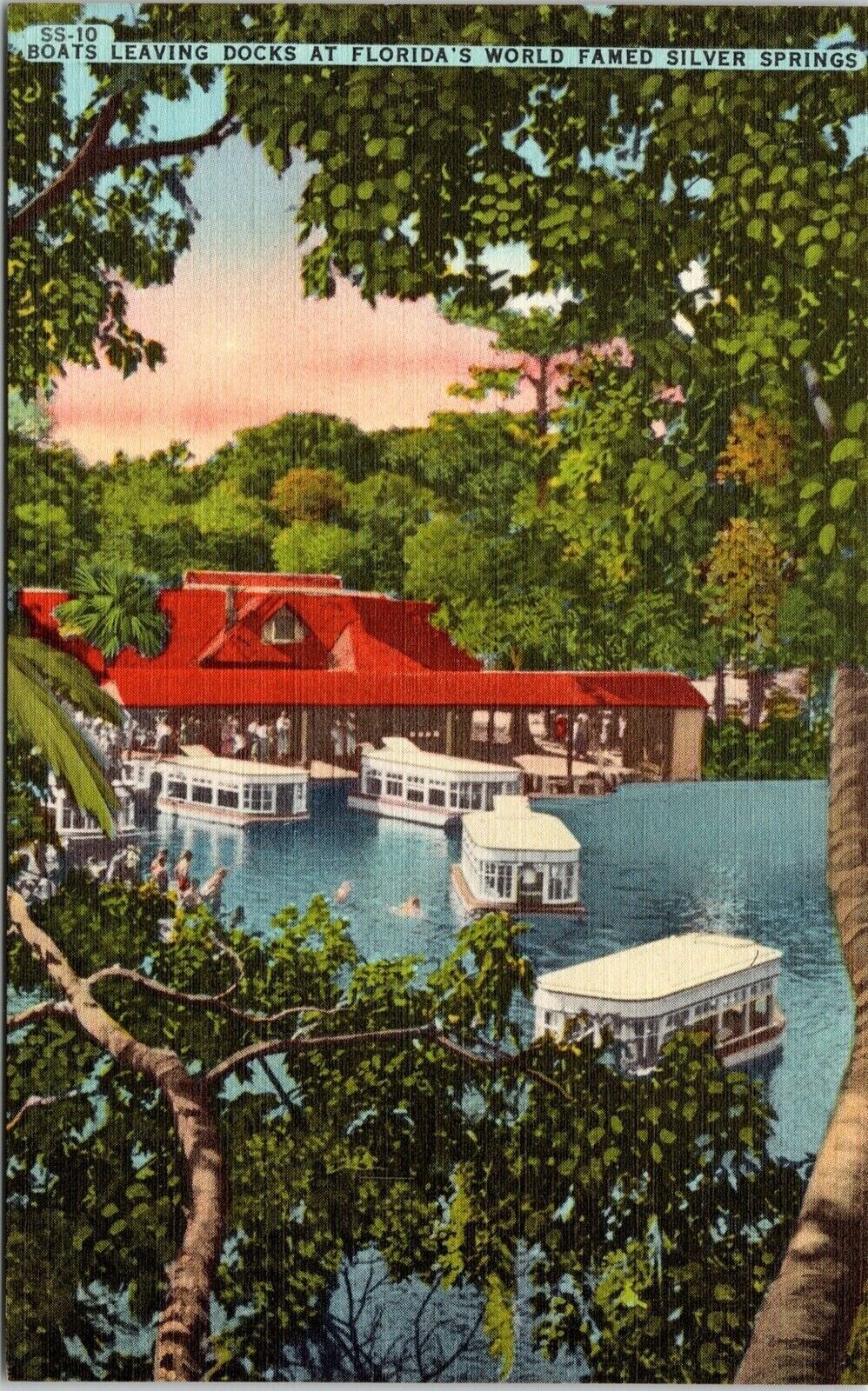 Boats Leaving Docks Floridas World Fawed Silver Springs Amusement Park