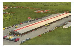 FL - Pompano Beach. Largest Winter Vegetable Market in the World ca 1950