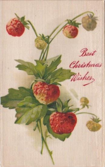 Silk Card Best Christmas Wishes With Strawberries
