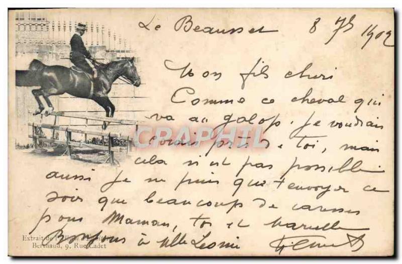 Old Postcard Horse Equestrian Saumur