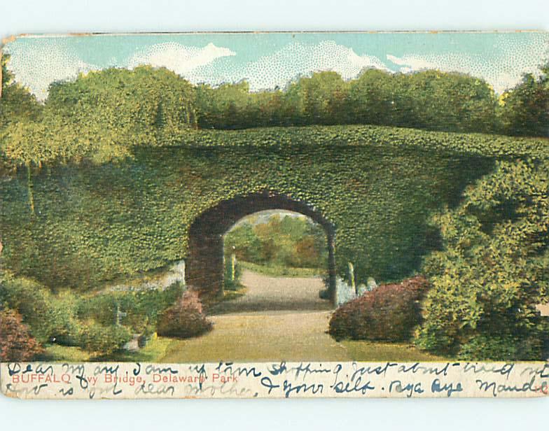 Pre-1907 IVY BRIDGE & PARK SCENE Buffalo New York NY r7539